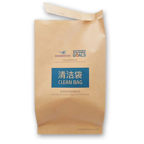 Sickness Paper Bags